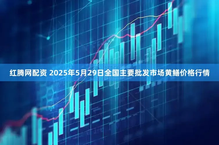 红腾网配资 2025年5月29日全国主要批发市场黄鳝价格行情