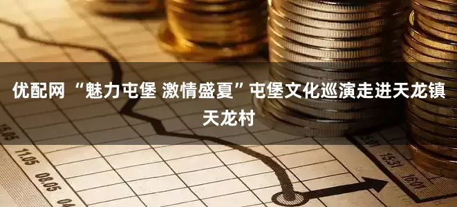 优配网 “魅力屯堡 激情盛夏”屯堡文化巡演走进天龙镇天龙村